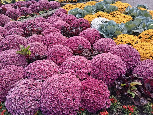 Construisez votre maison autrement avec l impression 3d verte